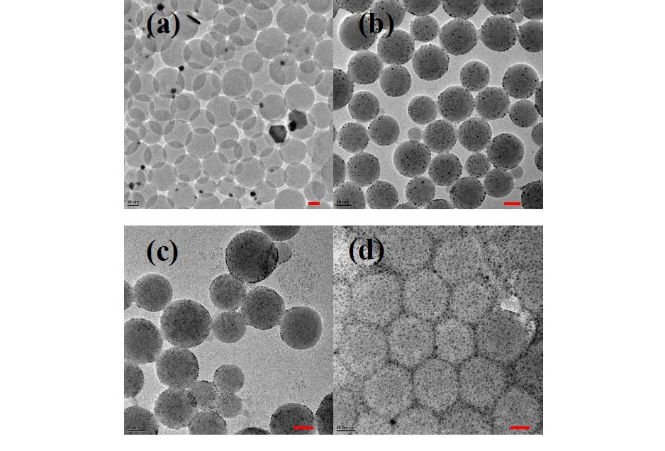 Polymer nanocomposites